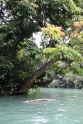 Green canyon, Java Pangandaran Indonesia 4